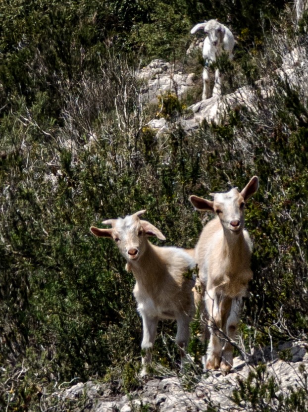Local hiking Marxuquera